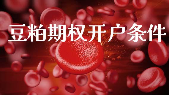 豆粕期权开户条件_https://wap.lcpcjs.com_全球经济_第1张