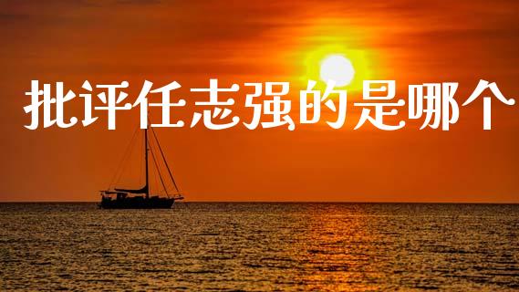 批评任志强的是哪个_https://wap.lcpcjs.com_美股行情_第1张