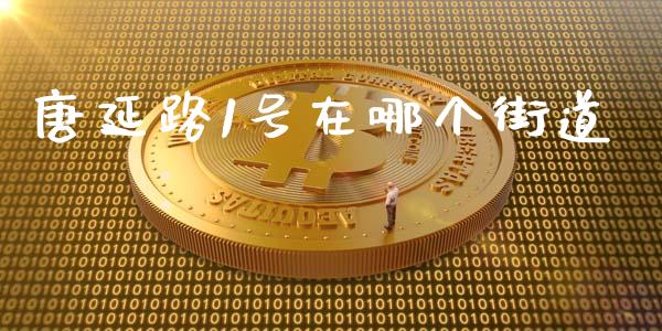 唐延路1号在哪个街道_https://wap.lcpcjs.com_美股行情_第1张