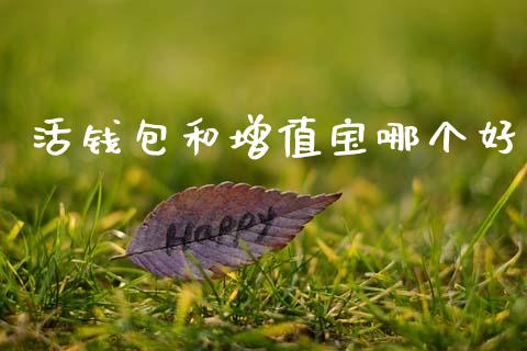 活钱包和增值宝哪个好_https://wap.lcpcjs.com_外汇市场_第1张