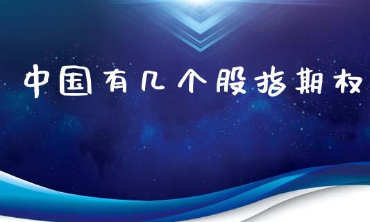 中国有几个股指期权_https://wap.lcpcjs.com_外汇市场_第1张
