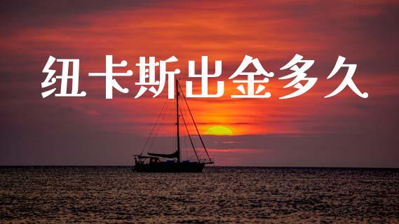 纽卡斯出金多久_https://wap.lcpcjs.com_美股行情_第1张