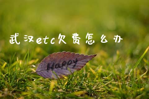 武汉etc欠费怎么办_https://wap.lcpcjs.com_美股行情_第1张