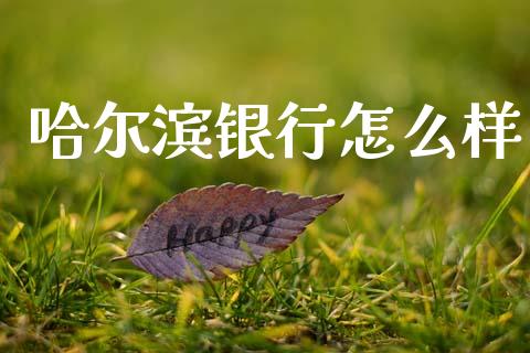 哈尔滨银行怎么样_https://wap.lcpcjs.com_美股行情_第1张
