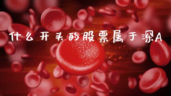 什么开头的股票属于深A_https://wap.lcpcjs.com_股港行情_第1张