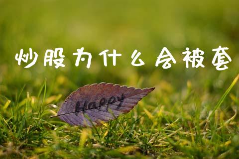 炒股为什么会被套_https://wap.lcpcjs.com_美股行情_第1张