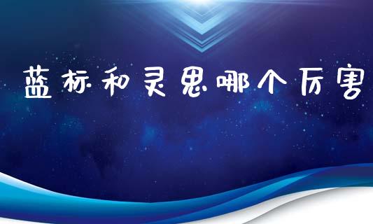 蓝标和灵思哪个厉害_https://wap.lcpcjs.com_全球经济_第1张