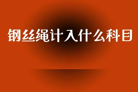 钢丝绳计入什么科目_https://wap.lcpcjs.com_股港行情_第1张