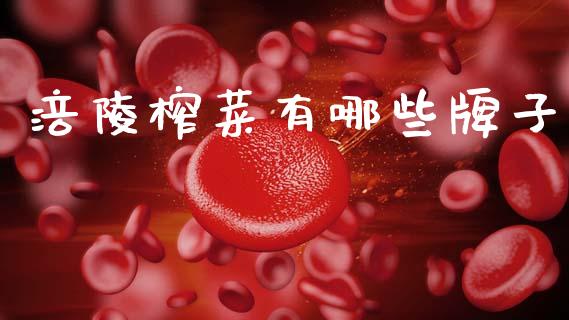 涪陵榨菜有哪些牌子_https://wap.lcpcjs.com_外汇市场_第1张