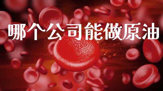 哪个公司能做原油_https://wap.lcpcjs.com_外汇市场_第1张