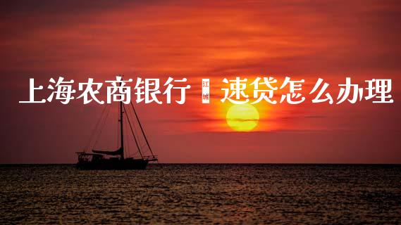 上海农商银行鑫速贷怎么办理_https://wap.lcpcjs.com_外汇市场_第1张