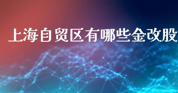 上海自贸区有哪些金改股_https://wap.lcpcjs.com_美股行情_第1张