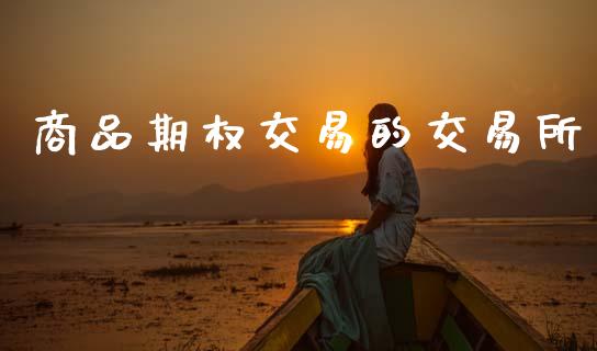 商品期权交易的交易所_https://wap.lcpcjs.com_股港行情_第1张
