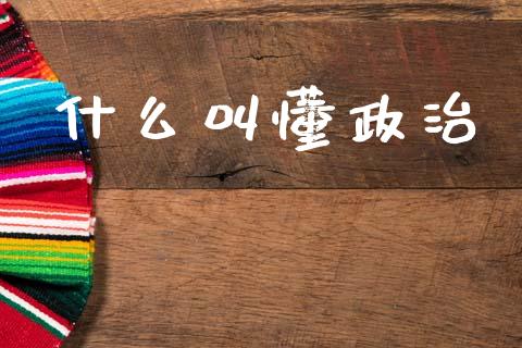 什么叫懂政治_https://wap.lcpcjs.com_美股行情_第1张