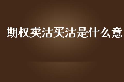 期权卖沽买沽是什么意_https://wap.lcpcjs.com_外汇市场_第1张