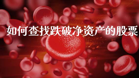 如何查找跌破净资产的股票_https://wap.lcpcjs.com_美股行情_第1张