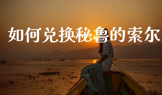 如何兑换秘鲁的索尔_https://wap.lcpcjs.com_股港行情_第1张