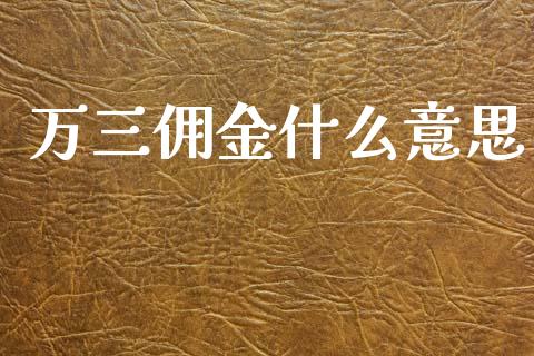 万三佣金什么意思_https://wap.lcpcjs.com_美股行情_第1张