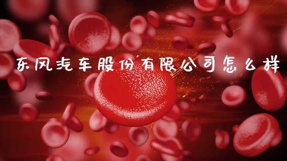 东风汽车股份有限公司怎么样_https://wap.lcpcjs.com_全球经济_第1张