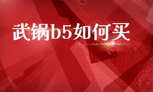 武锅b5如何买_https://wap.lcpcjs.com_美股行情_第1张