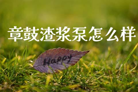 章鼓渣浆泵怎么样_https://wap.lcpcjs.com_外汇市场_第1张