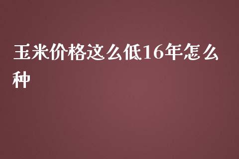 玉米价格这么低16年怎么种_https://wap.lcpcjs.com_全球经济_第1张