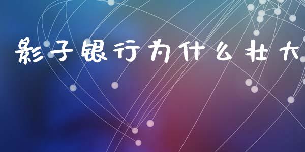 影子银行为什么壮大_https://wap.lcpcjs.com_股港行情_第1张