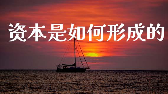 资本是如何形成的_https://wap.lcpcjs.com_美股行情_第1张
