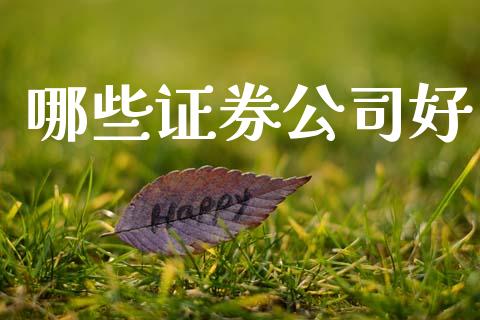 哪些证券公司好_https://wap.lcpcjs.com_美股行情_第1张