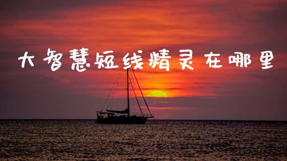 大智慧短线精灵在哪里_https://wap.lcpcjs.com_美股行情_第1张