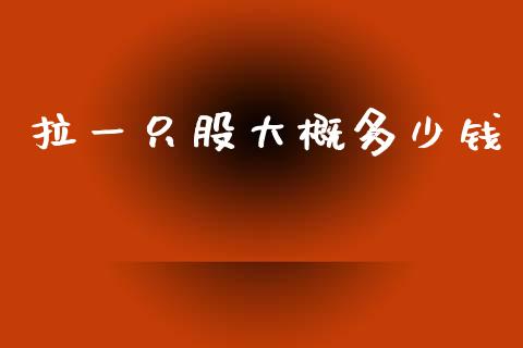 拉一只股大概多少钱_https://wap.lcpcjs.com_美股行情_第1张