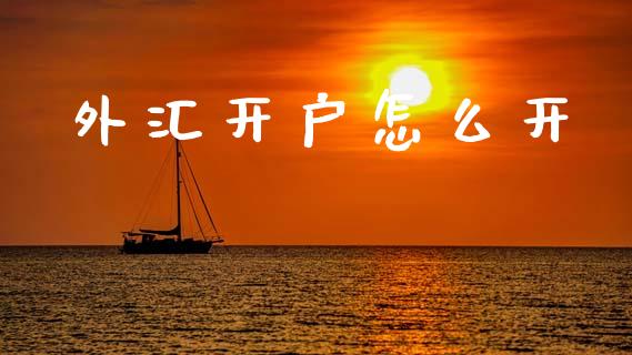外汇开户怎么开_https://wap.lcpcjs.com_外汇市场_第1张