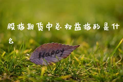 股指期货中总权益指的是什么_https://wap.lcpcjs.com_股港行情_第1张