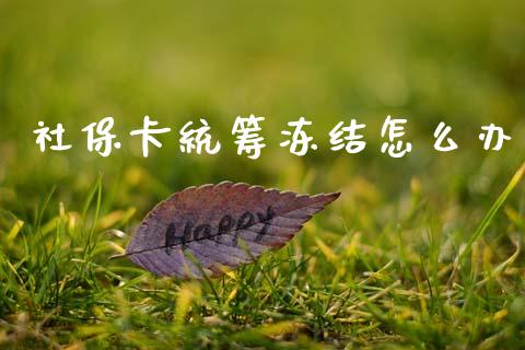 社保卡统筹冻结怎么办_https://wap.lcpcjs.com_全球经济_第1张