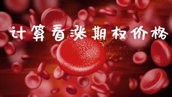 计算看涨期权价格_https://wap.lcpcjs.com_全球经济_第1张