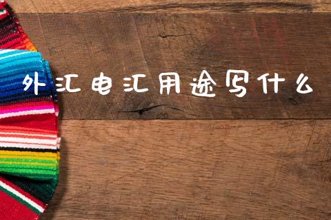 外汇电汇用途写什么_https://wap.lcpcjs.com_外汇市场_第1张