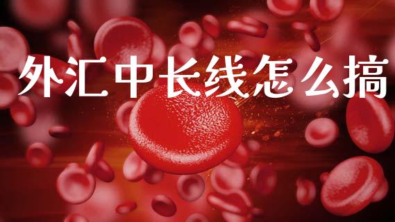 外汇中长线怎么搞_https://wap.lcpcjs.com_全球经济_第1张