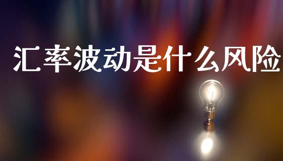 汇率波动是什么风险_https://wap.lcpcjs.com_全球经济_第1张