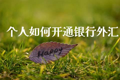 个人如何开通银行外汇_https://wap.lcpcjs.com_美股行情_第1张