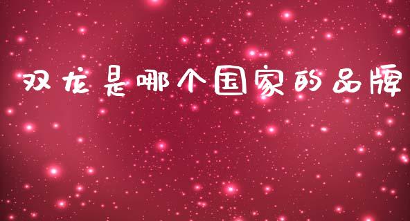 双龙是哪个国家的品牌_https://wap.lcpcjs.com_股港行情_第1张