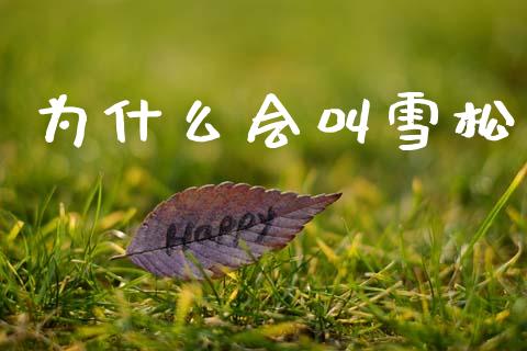 为什么会叫雪松_https://wap.lcpcjs.com_全球经济_第1张