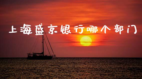 上海盛京银行哪个部门_https://wap.lcpcjs.com_全球经济_第1张