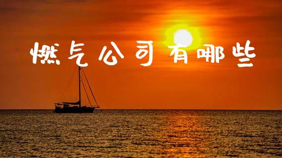 燃气公司有哪些_https://wap.lcpcjs.com_外汇市场_第1张