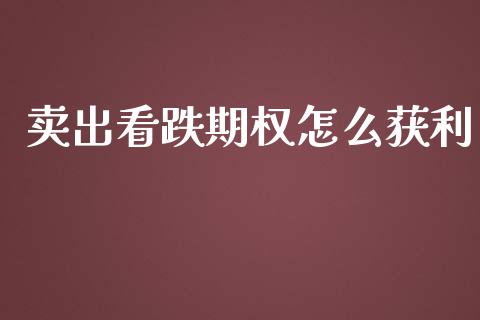 卖出看跌期权怎么获利_https://wap.lcpcjs.com_股港行情_第1张