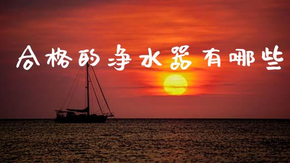 合格的净水器有哪些_https://wap.lcpcjs.com_股港行情_第1张