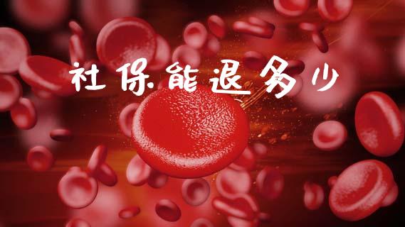 社保能退多少_https://wap.lcpcjs.com_美股行情_第1张