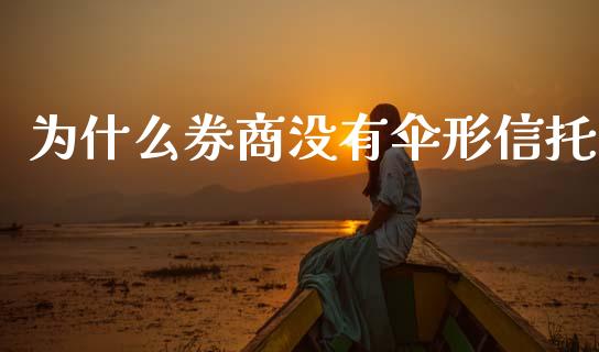 为什么券商没有伞形信托_https://wap.lcpcjs.com_美股行情_第1张