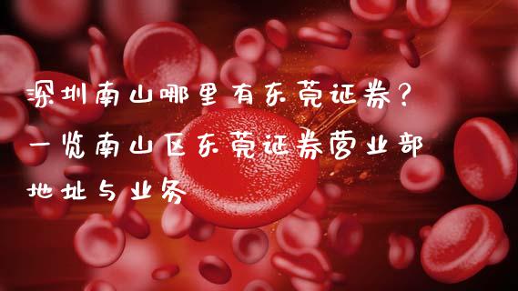 深圳南山哪里有东莞证券？一览南山区东莞证券营业部地址与业务_https://wap.lcpcjs.com_全球经济_第1张