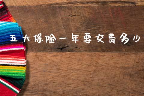 五大保险一年要交费多少_https://wap.lcpcjs.com_美股行情_第1张