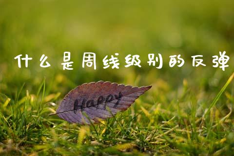 什么是周线级别的反弹_https://wap.lcpcjs.com_外汇市场_第1张